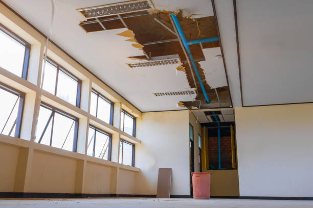 Best Basement water damage restoration  in Kittanning, PA