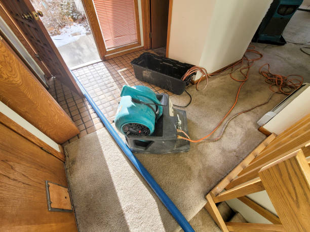 Reliable Kittanning, PA Water damage restoration Solutions