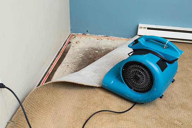 Best Water damage repair service  in Kittanning, PA